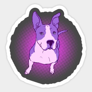 Purple Pitte Sticker